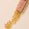 FUSILLI LINGUA