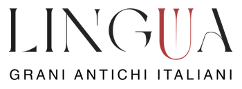 linguashop.demmalit.eu